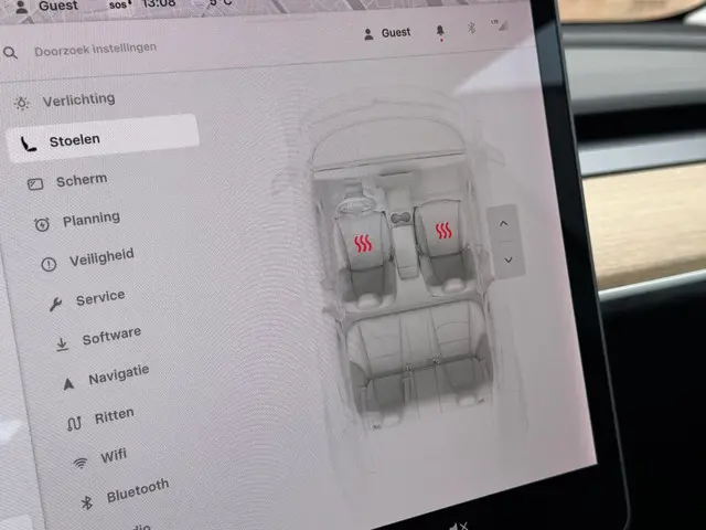 Tesla Model 3 Standard RWD Plus 89% SoH 2020 Elektrisch 21