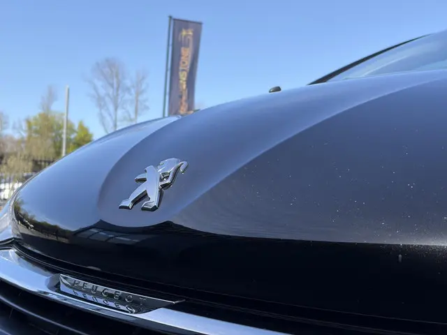 Peugeot 208 1.2 PureTech Active 2018 Benzine 31