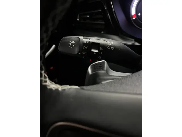 Kia e-Niro ExecutiveLine 64 kWh 2020 Elektrisch 27