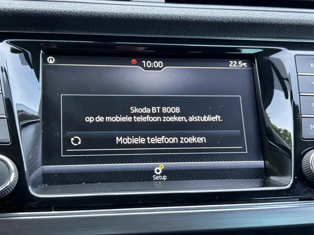 Škoda Fabia Combi 1.0 TSI Business Edition 2020 Benzine 13