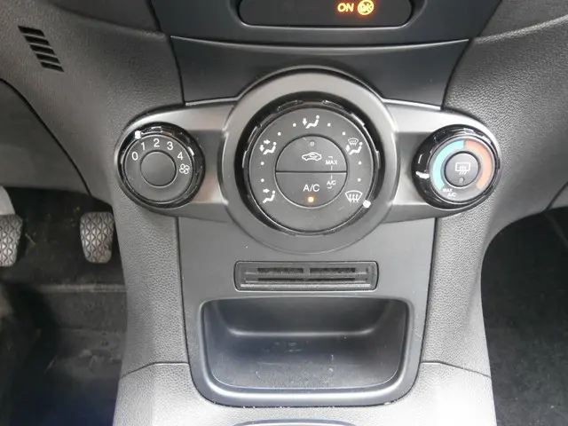 Ford Fiesta 1.25 2015 Benzine 10