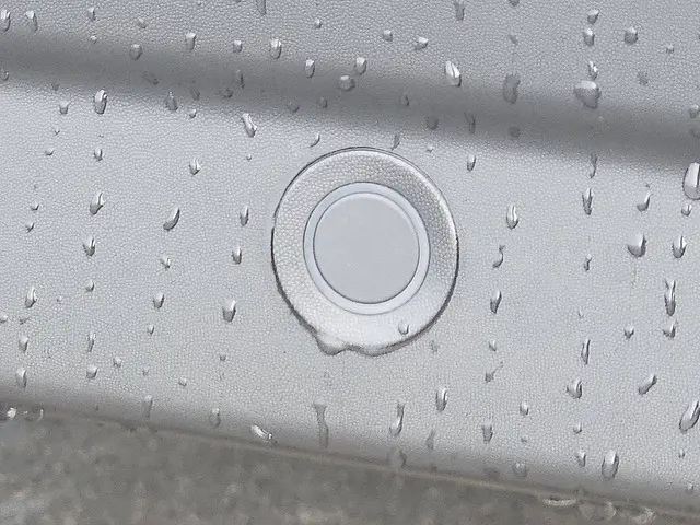 Renault Trafic 2.0 DCI 2022 Diesel 17