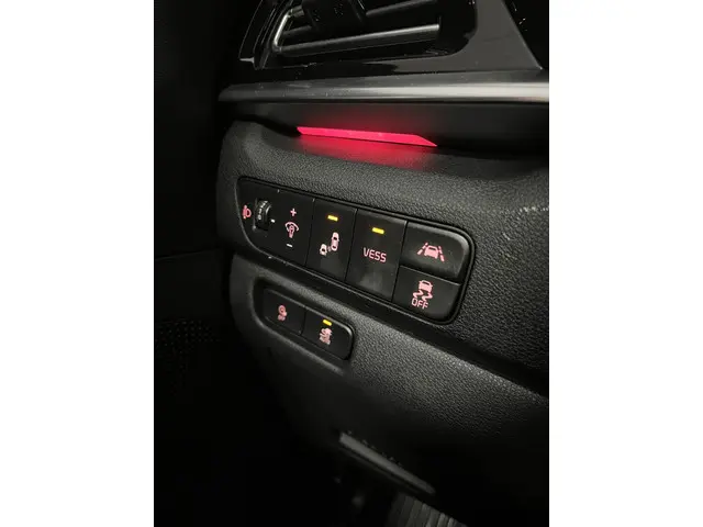 Kia e-Niro ExecutiveLine 64 kWh 2021 Elektrisch 38