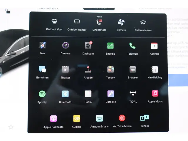 Tesla Model 3 Long Range RWD 75 kWh 2019 Elektrisch 43