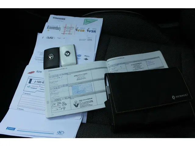 Renault Captur 1.0 TCe 100 Bi-Fuel Intens 2020 LPG/Gas 13
