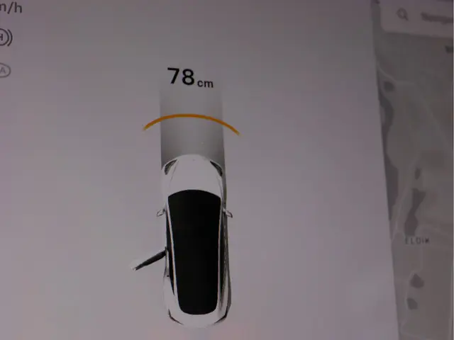 Tesla Model 3 Standard RWD Plus 60 kWh 2019 Elektrisch 48