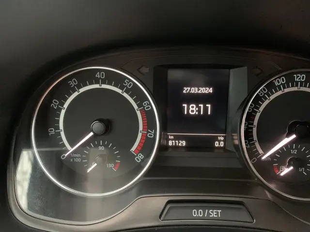 Škoda Fabia 1.0 TSI (70Kw) Monte Carlo 2017 Benzine 19