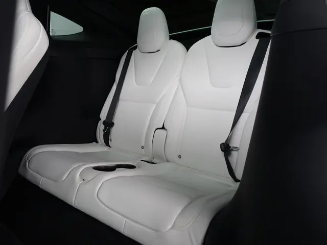Tesla Model X 3