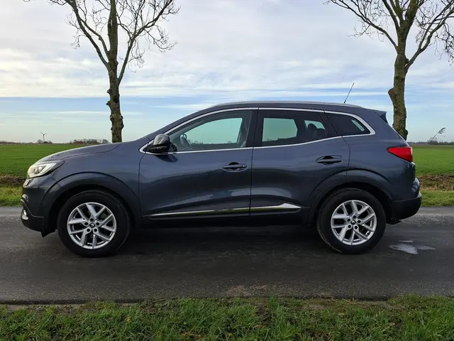 Renault Kadjar 1.2 TCe Zen, 2e eigenaar❗ 2015 Benzine 2