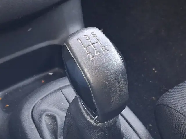 Citroën C4 Cactus 1.6 BlueHDi Feel 2015 Diesel 12