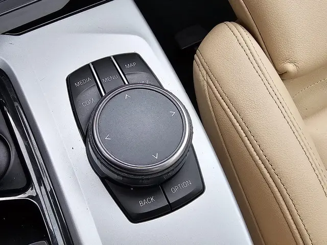 BMW X3 xDrive20i High Executive 2018 Benzine 12