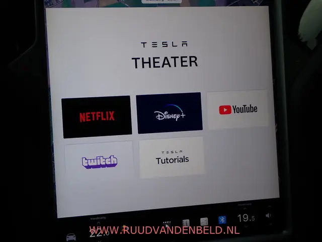 Tesla Model X 100D 2018 Elektrisch 20