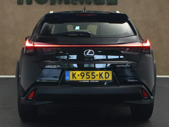 Lexus UX 300e Business 54 kWh 2020 Elektrisch 12