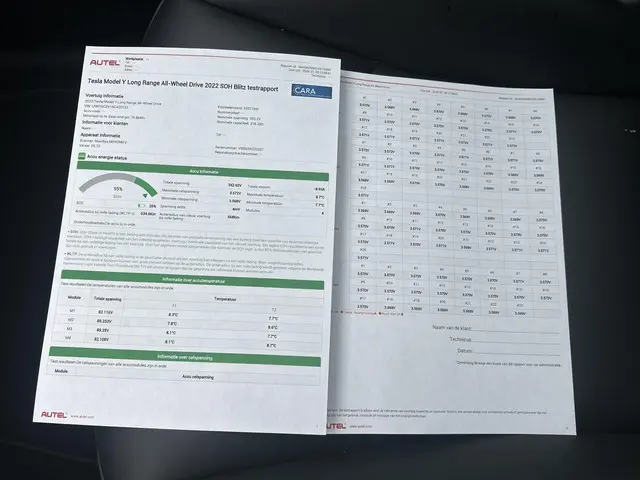 Tesla Model Y Long Range AWD 75 kWh 2022 Elektrisch 2
