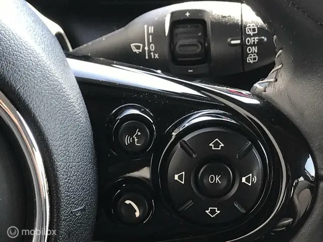 MINI Cooper 1.5 Salt / Pepper 2019 Benzine 12