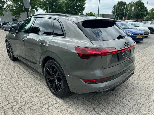 Audi e-tron 50 quattro S edition 71 kWh 2022 Elektrisch 25