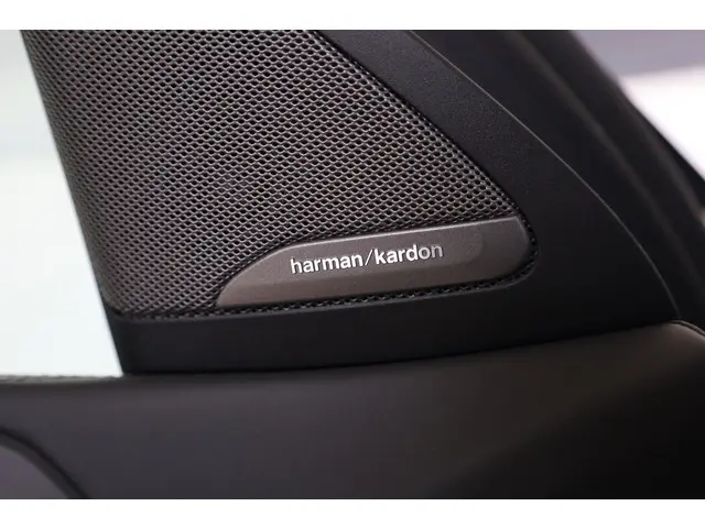 BMW X6 xDrive40i 2020 Benzine 25