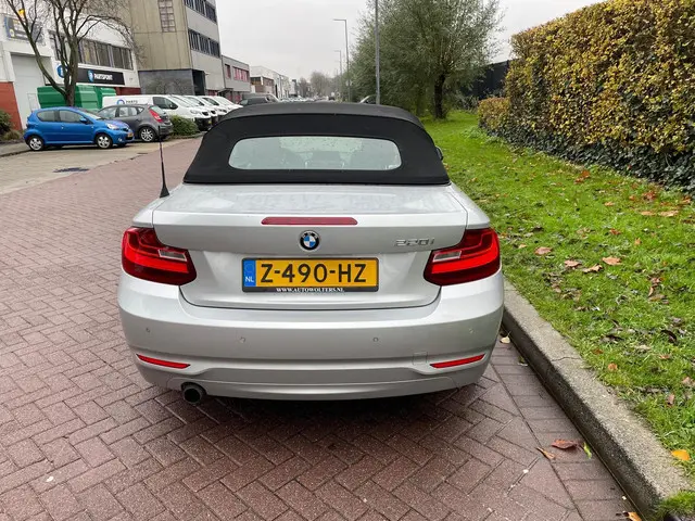 BMW 2 Serie Cabrio 220i 2016 Benzine 8