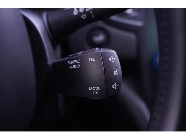 Renault Mégane 1.3 TCe Limited 2019 Benzine 23