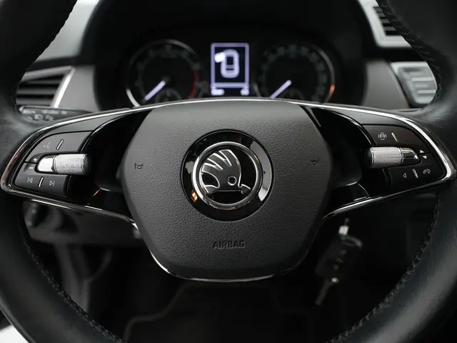 Škoda Fabia Combi 1.0 TSI 95pk Ambition 2020 Benzine 17