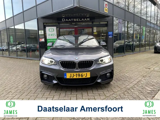 BMW 2 Serie Cabrio 220i M-Sport Leer 2016 Benzine