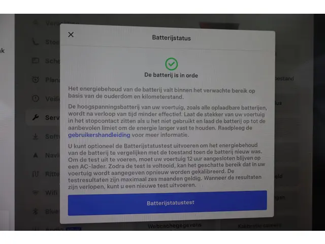 Tesla Model 3 Standard RWD Plus 60 kWh 2020 Elektrisch 5