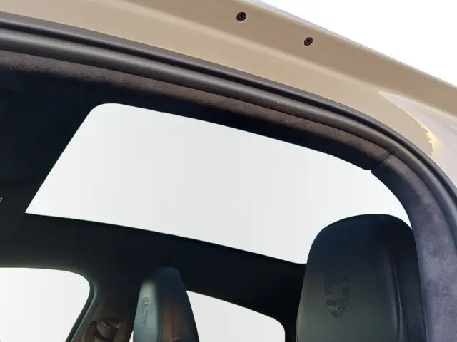 Porsche Cayenne Coupé 3.0 E-Hybrid 2020 Hybride Benzine 27