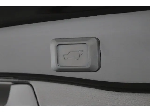 Toyota RAV4 2.5 Hybrid Executive 2021 Hybride Benzine 44