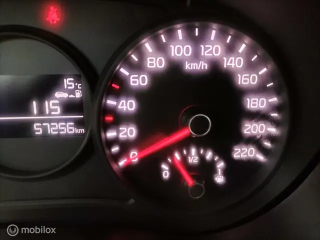 Kia Picanto 1.0 CVVT EconomyPlusLine 2019 Benzine 11