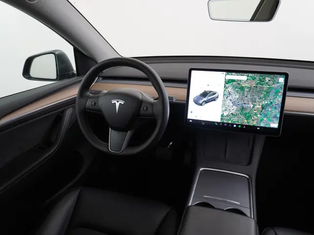 Tesla Model Y Long Range AWD 75 kWh 2021 Elektrisch 25