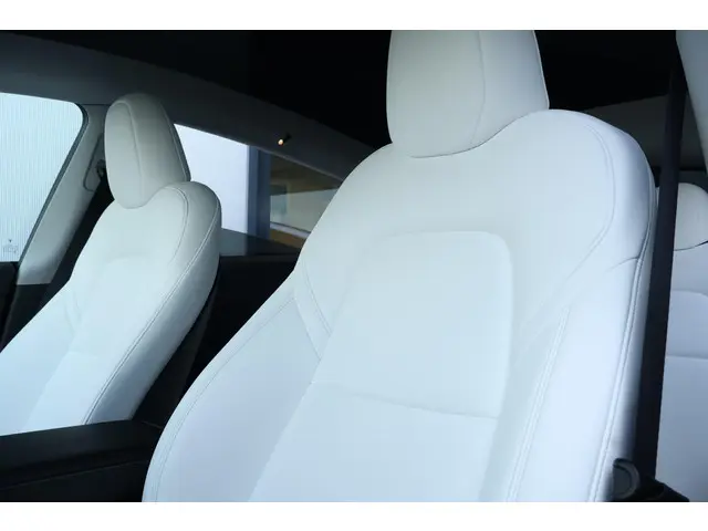 Tesla Model Y Long Range AWD 75 kWh 2023 Elektrisch 13