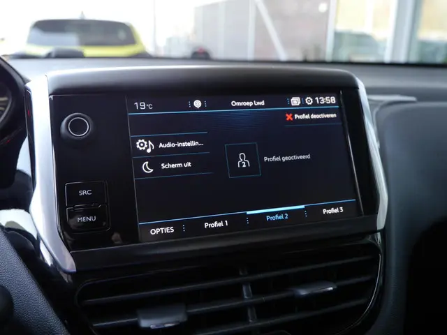 Peugeot 208 1.2 PureTech Blue Lion 2018 Benzine 22