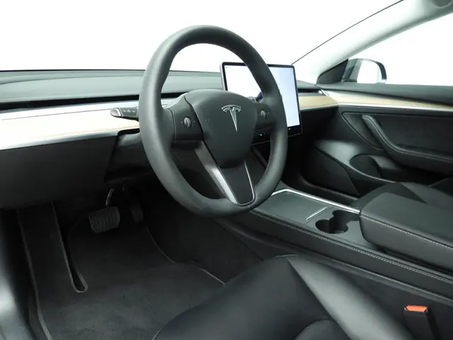 Tesla Model 3 Standard RWD Plus 60 kWh 2023 Elektrisch 12