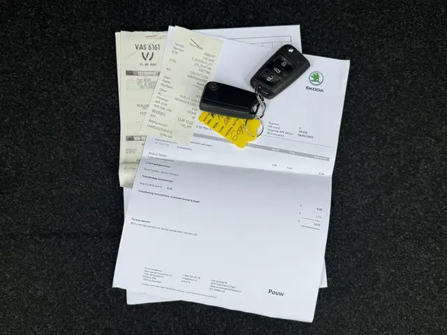 Škoda Fabia Combi 1.0 TSI Business Edition 2019 Benzine 26