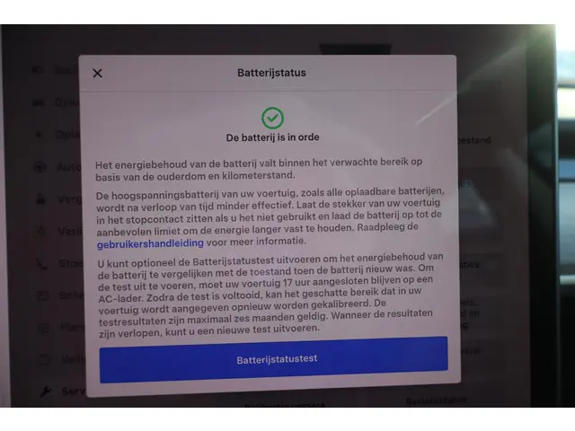 Tesla Model 3 Long Range AWD 75 kWh 2021 Elektrisch 8
