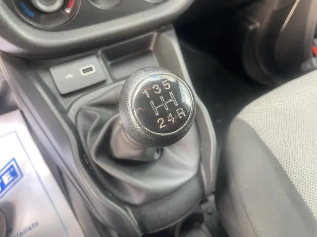 Fiat Doblò Cargo 1.3 MJ L1H1 2020 Diesel 12