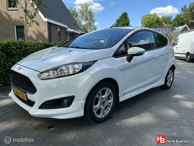 Ford Fiesta 1.0 EcoBoost Titanium 2013 Benzine