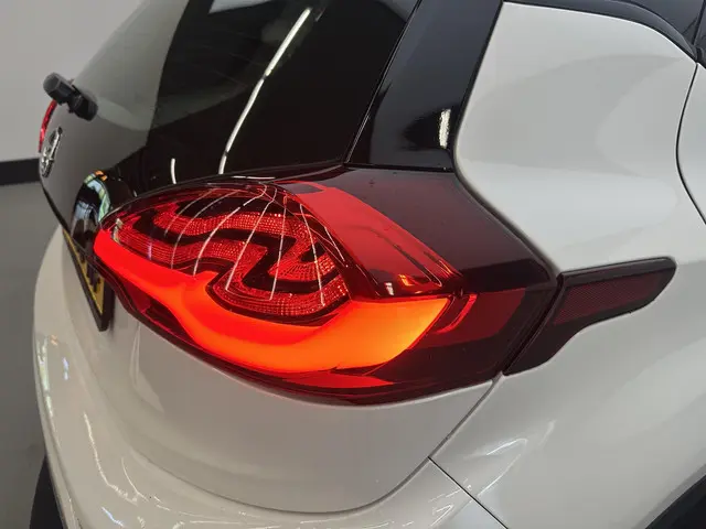 Opel Ampera-e Business executive 60 kWh 2020 Elektrisch 17