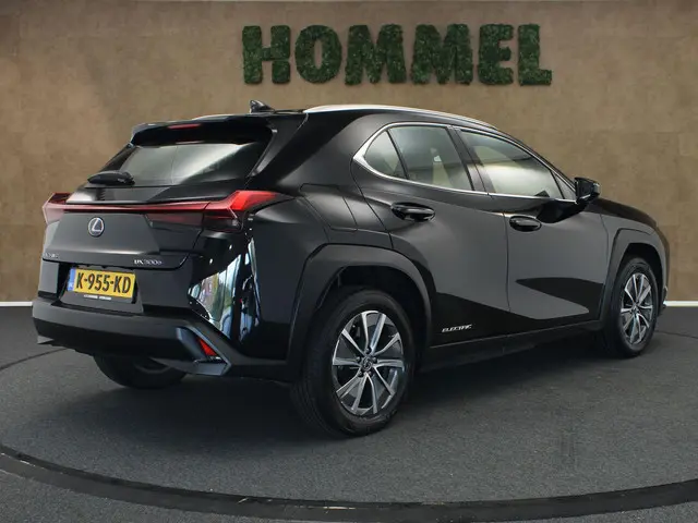 Lexus UX 300e Business 54 kWh 2020 Elektrisch 3