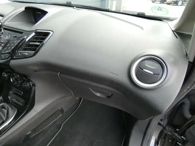 Ford Fiesta HELAAS VERKOCHT!!! 2015 Benzine 31