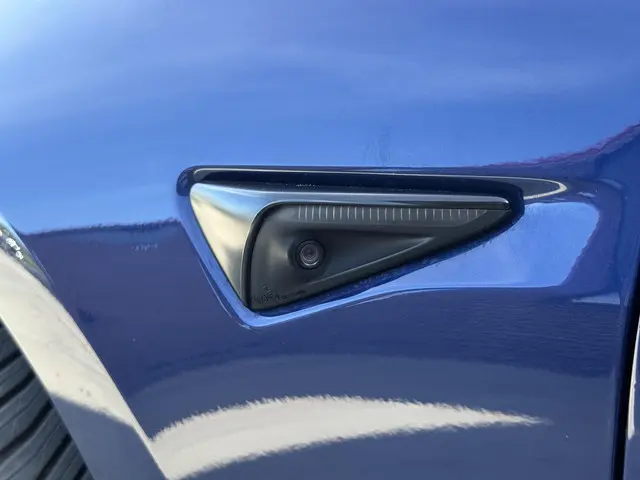 Tesla Model 3 Long Range AWD 75 kWh 2021 Elektrisch 49