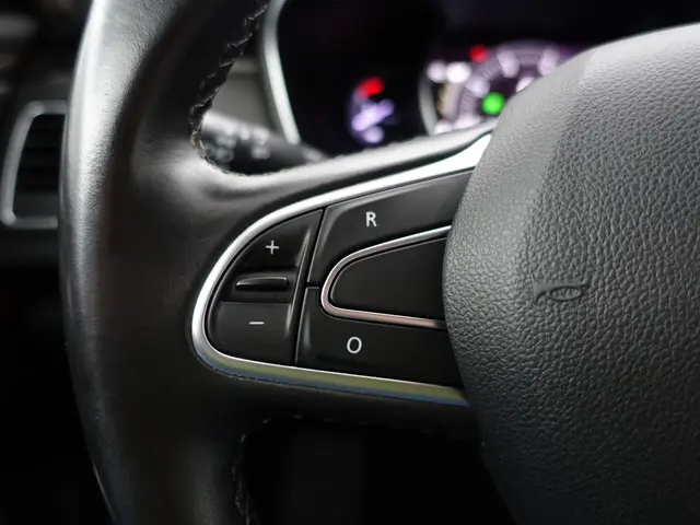 Renault Talisman Estate 1.3 TCe Intens Aut- 2019 Benzine 19
