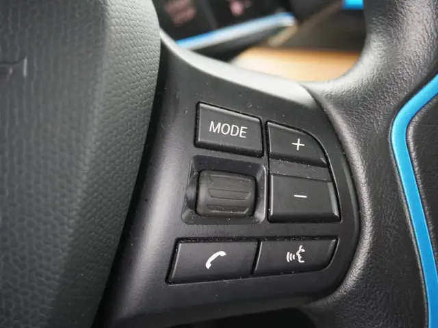 BMW i3 Basis iPerformance 94Ah 33 kWh 2018 Elektrisch 29