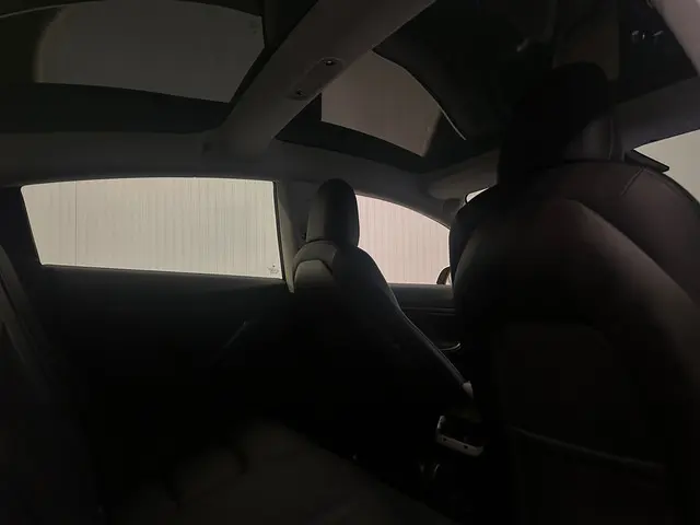 Tesla Model 3 Standard RWD Plus 60 kWh 2019 Elektrisch 15