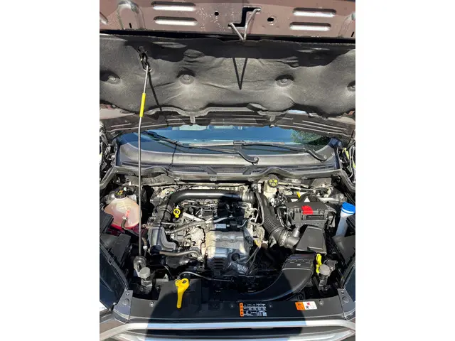 Ford EcoSport 1.0 EcoBoost Trend Ultimate 2018 Benzine 14