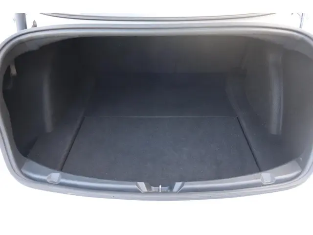 Tesla Model 3 Standard RWD Plus 60 kWh 2021 Elektrisch 19