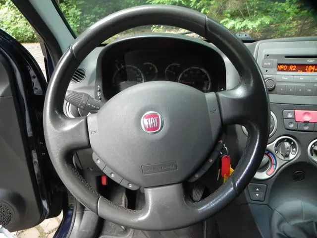 Fiat Panda 1.2 Edizione Cool 2012 Benzine 16