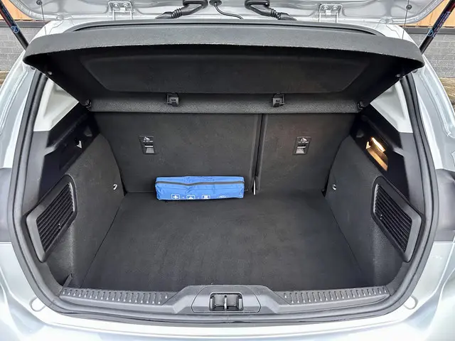 Ford Focus 1.0 EcoBoost Titanium Business 2020 Benzine 26