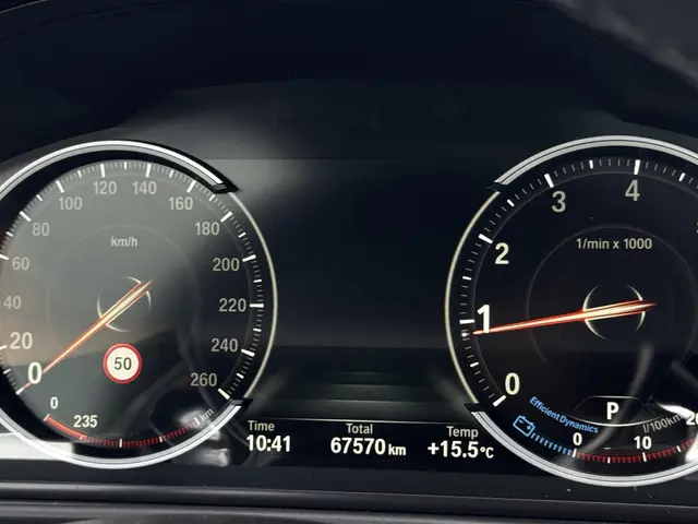 BMW 5 Serie Touring 520i High Executive 2015 Benzine 20