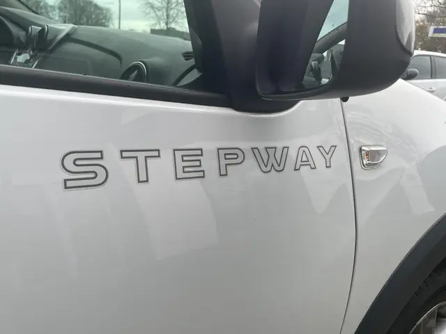 Dacia Sandero Stepway 0.9 TCe 2019 Benzine 11